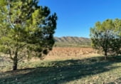 Finca rústica en venta en la Umbría de Peñas Blancas, Yecla, ref: TR98468 foto