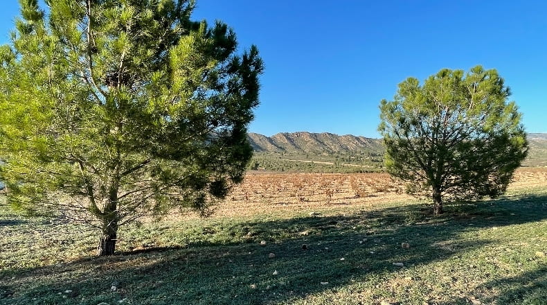 Murcia - Yecla - 3210000m2