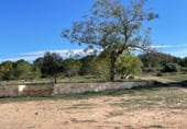 Finca rústica en venta en la Umbría de Peñas Blancas, Yecla, ref: TR98468 foto