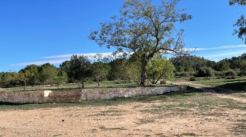 Murcia - Yecla - 3210000m2