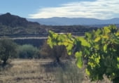 Stone house with land for sale on Camino de Cueva del Monje, Guadix, ref: TR108484 photo