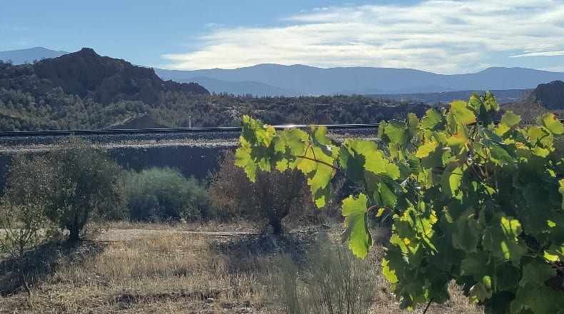 Granada - Guadix - 740000m2