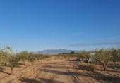 Land suitable for development for sale on Los Muñoces, ref: TR211701 photo