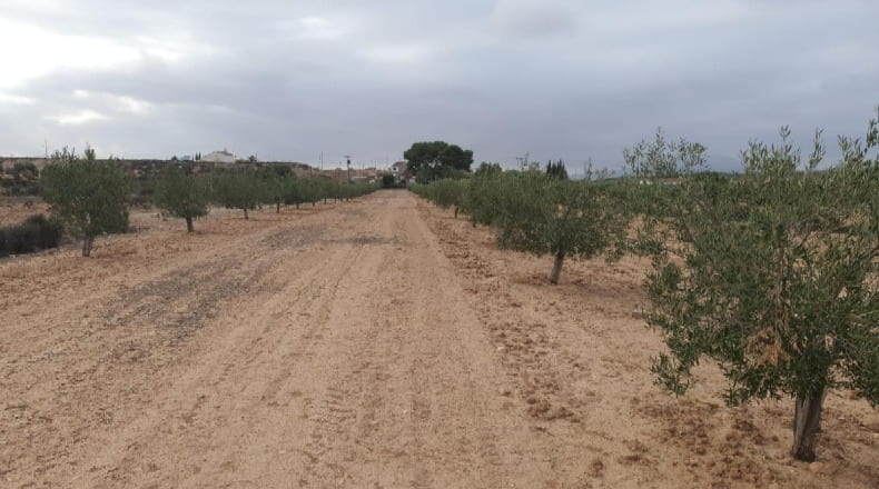 Murcia - Los Muñoces - 18.9m2