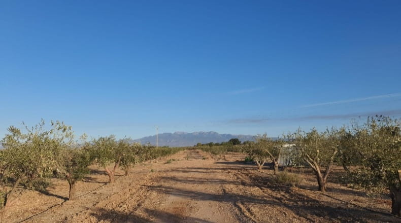 Murcia - Los Muñoces - 18.9m2
