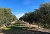 Земля на продажу у города Écija Фото