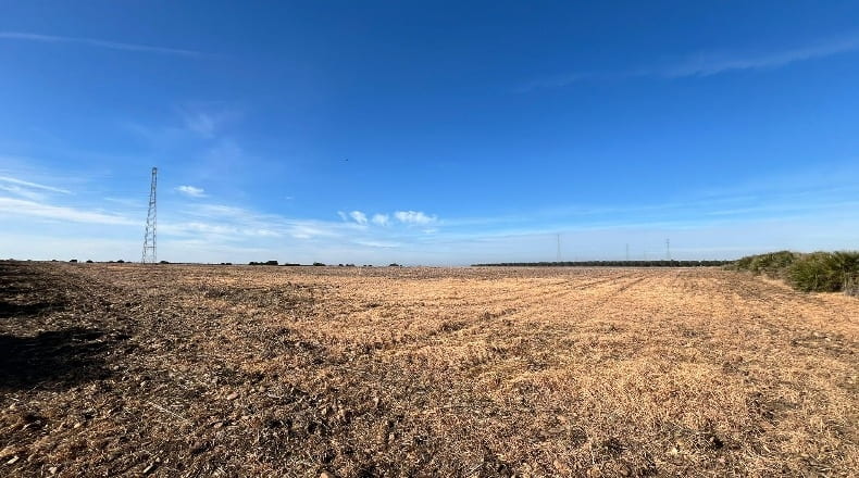 Sevilla - Écija - 100000m2