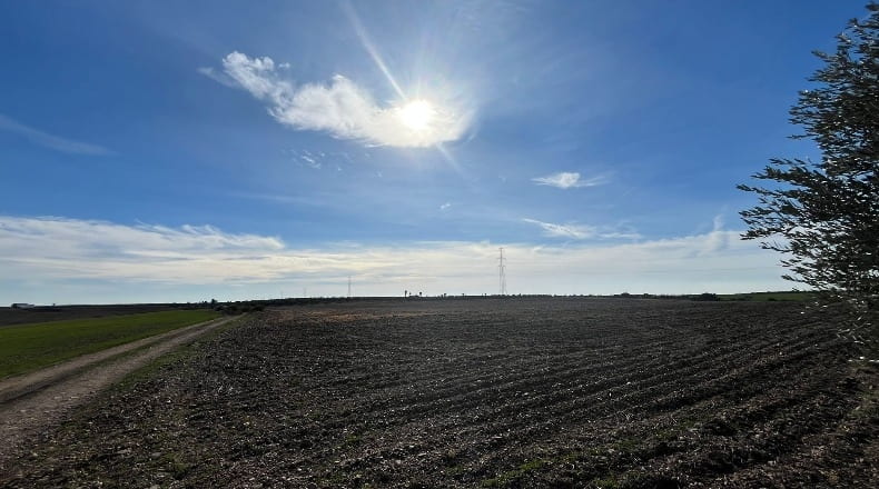 Sevilla - Écija - 100000m2