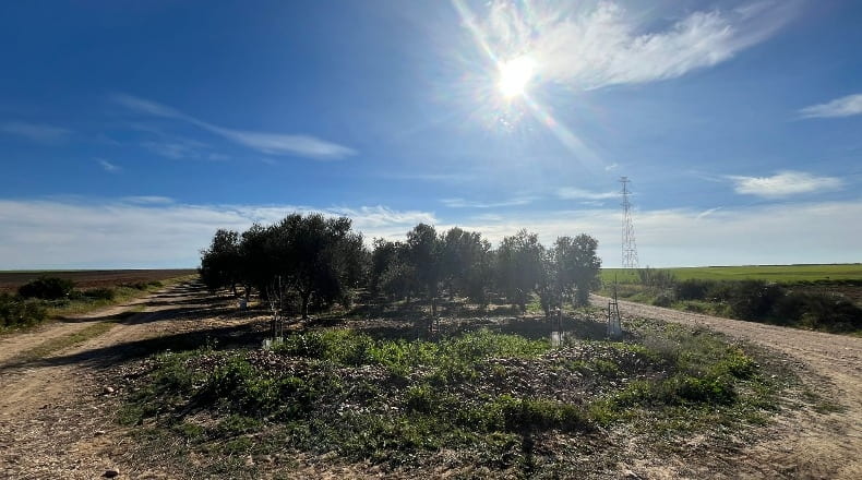 Sevilla - Écija - 100000m2