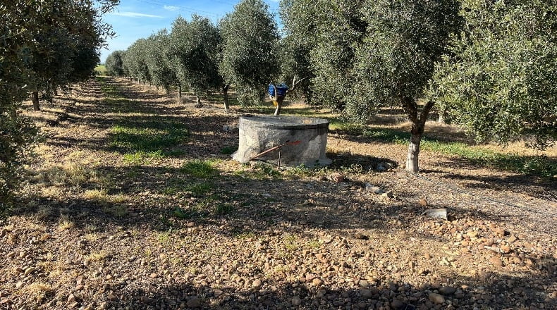 Sevilla - Écija - 100000m2