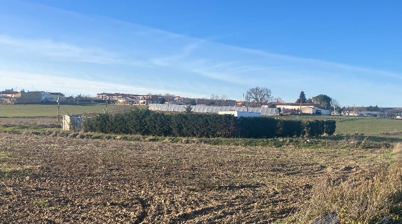 Salamanca - Salamanca - 37003m2