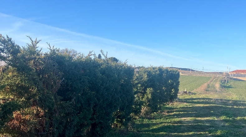 Salamanca - Salamanca - 37003m2