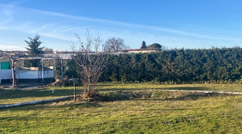 Salamanca - Salamanca - 37003m2