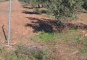 Land with storage building for sale on Poligono 35, Argamasilla de Calatrava, ref: TR212144 photo