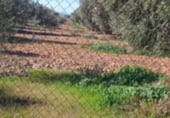 Land with storage building for sale on Poligono 35, Argamasilla de Calatrava, ref: TR212144 photo
