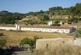 els Omells de na Gaia 12000&nbsp;m²