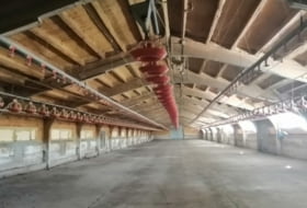 els Omells de na Gaia 12000&nbsp;m²
