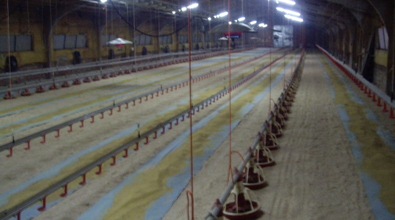 Lérida - els Omells de na Gaia - 12000m2