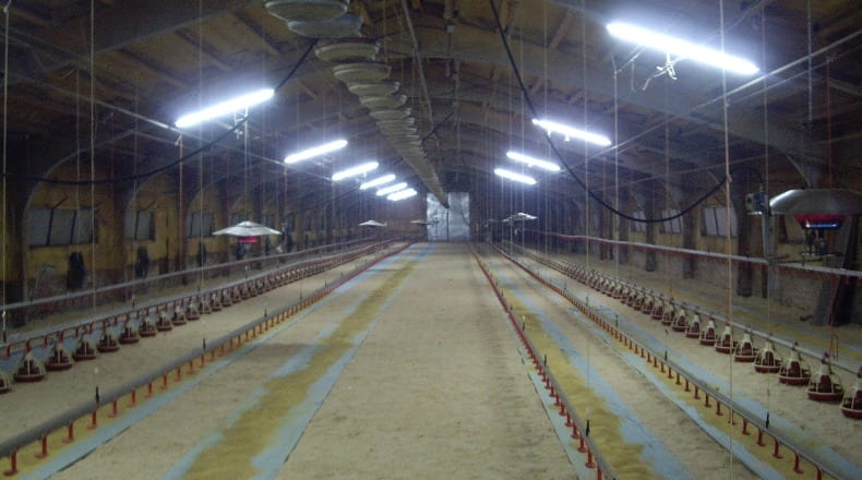 Lérida - els Omells de na Gaia - 12000m2