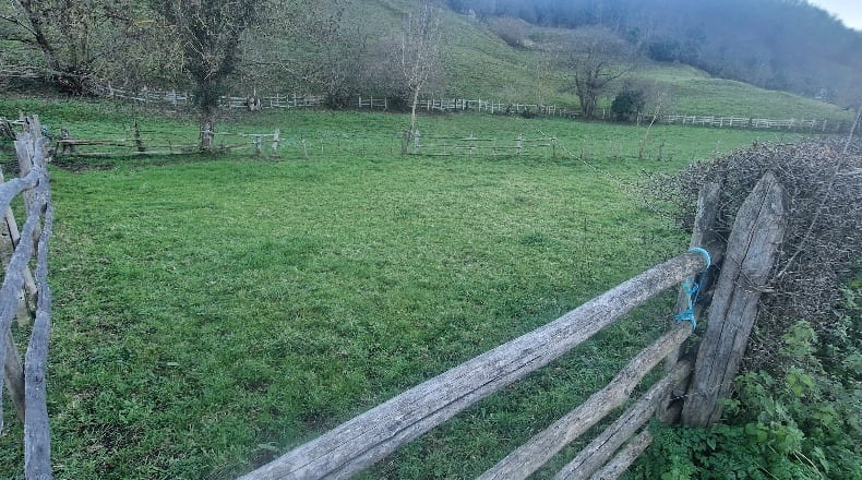 Asturias - Pola de Lena - 451m2