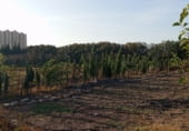 Land with storage building for rent on travesera tanca, El Puig de Santa Maria, ref: TR212888 photo