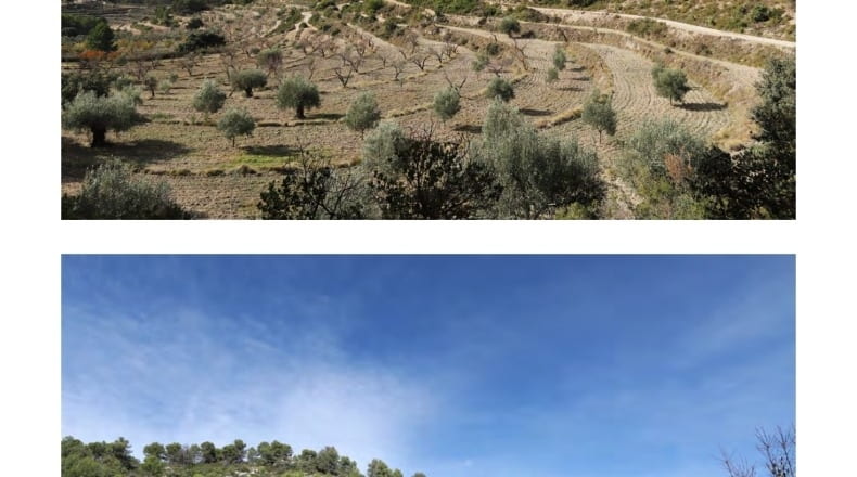 Alicante - Torremanzanas - 400000m2