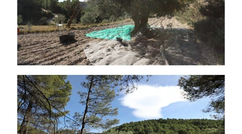 Alicante - Torremanzanas - 400000m2