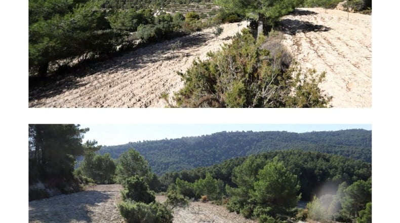 Alicante - Torremanzanas - 400000m2