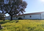 Finca rústica en venta en la Carretera de Moraleja al Pantano del Borbollón, Santibáñez el Alto, ref: TR212892 foto
