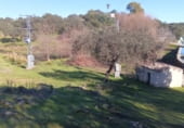 Finca rústica en venta en la Carretera de Moraleja al Pantano del Borbollón, Santibáñez el Alto, ref: TR212892 foto