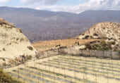 Finca rústica en venda a la POLIGONO 1 PARCELA 23, Íllar, ref.: TR212905 foto