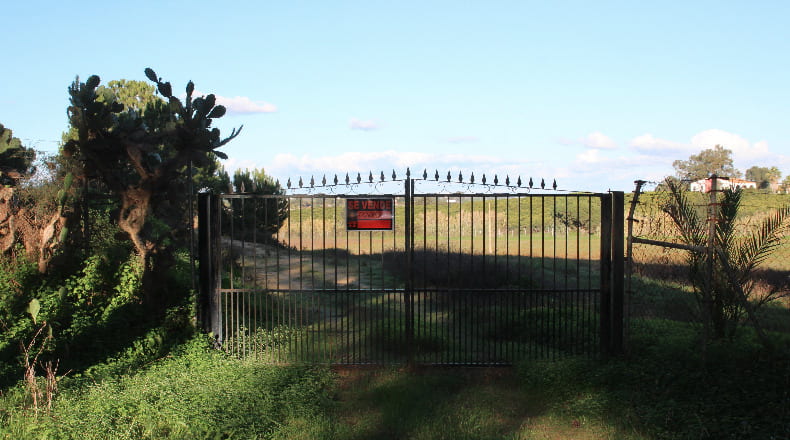 Huelva - Cartaya - 40300m2