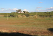 Non-developable land for sale on Valle de las carretas, Cartaya, ref: TR212906 photo