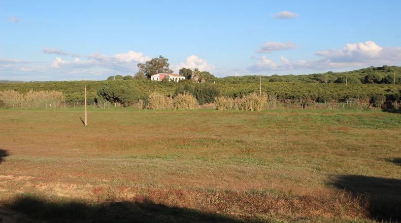 Huelva - Cartaya - 40300m2