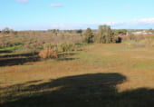 Non-developable land for sale on Valle de las carretas, Cartaya, ref: TR212906 photo