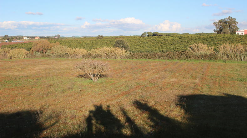 Huelva - Cartaya - 40300m2