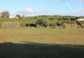 Non-developable land for sale on Valle de las carretas, Cartaya, ref: TR212906 photo