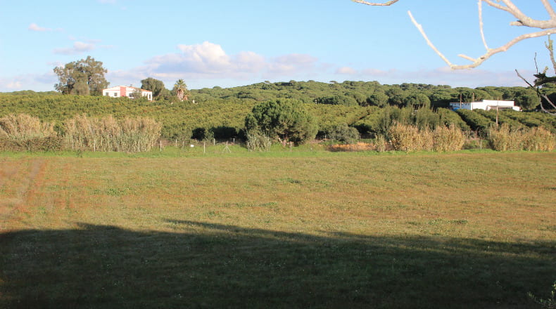 Huelva - Cartaya - 40300m2
