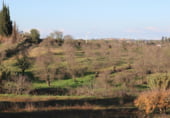 Non-developable land for sale on Valle de las carretas, Cartaya, ref: TR212906 photo