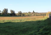 Non-developable land for sale on Valle de las carretas, Cartaya, ref: TR212906 photo