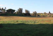Non-developable land for sale on Valle de las carretas, Cartaya, ref: TR212906 photo