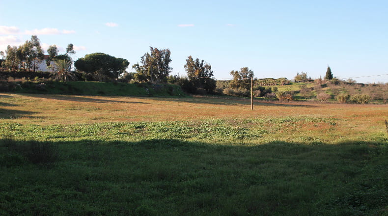 Huelva - Cartaya - 40300m2