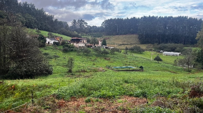 Asturias - Pillarno - 7953m2