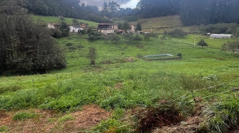 Asturias - Pillarno - 7953m2