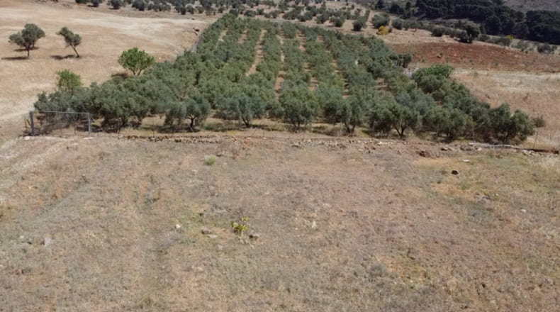 Malaga - Carratraca - 6400m2