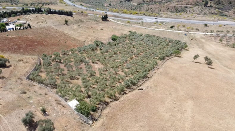 Malaga - Carratraca - 6400m2