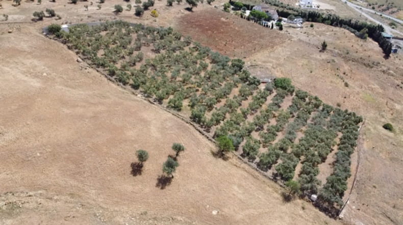 Malaga - Carratraca - 6400m2