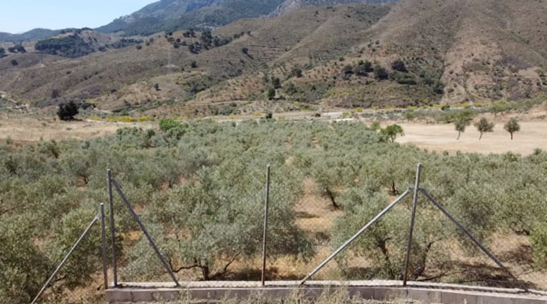 Malaga - Carratraca - 6400m2