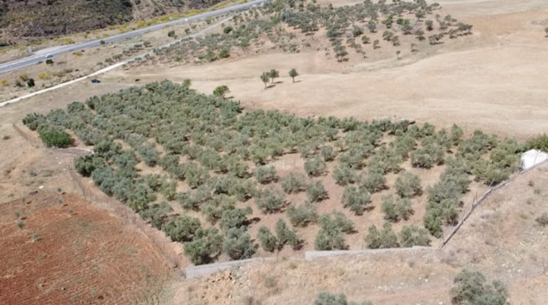 Malaga - Carratraca - 6400m2
