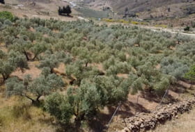 Foto 9